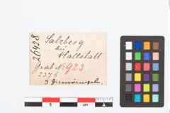 Etikett zu Zinnring (NHMW-PRAE-026428)